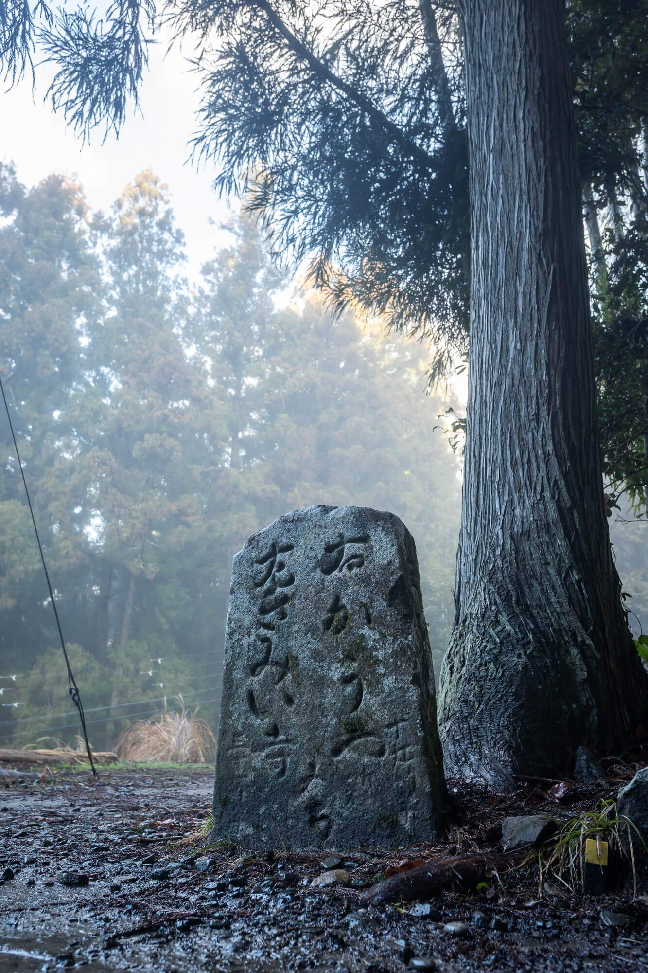 熊野古道中邊路的的石路標