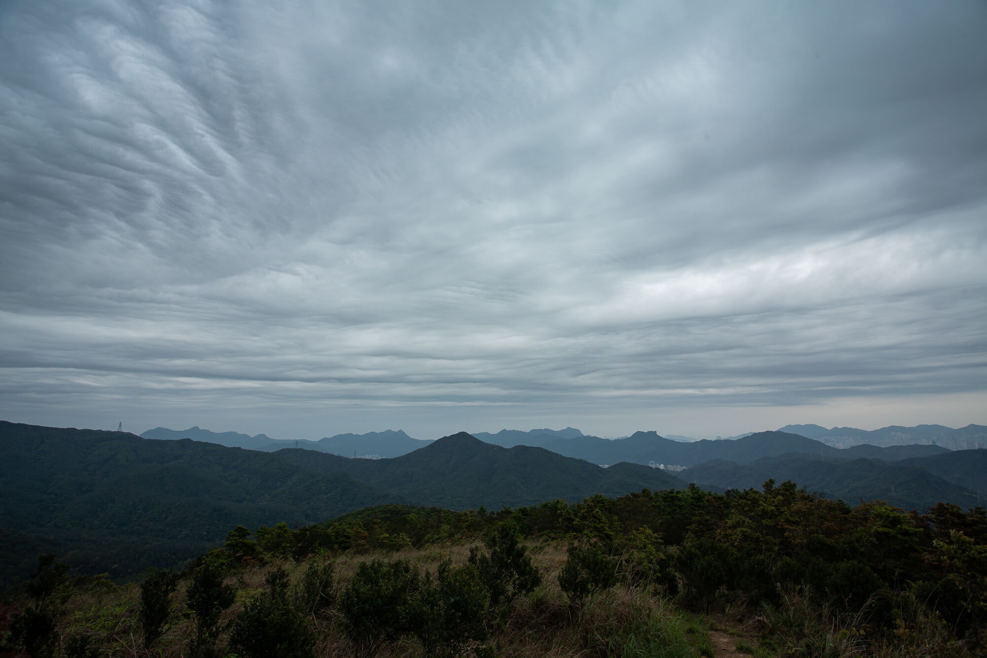 躍動著的高層雲