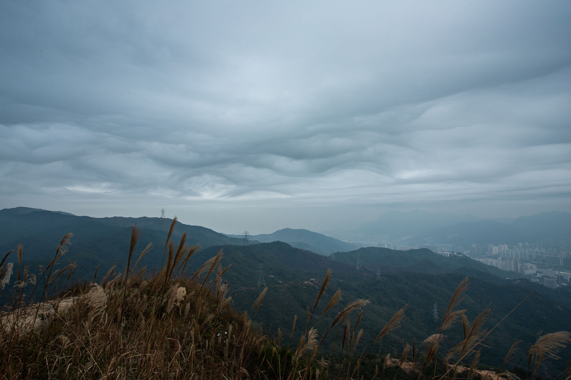 這一張雲底的波浪更為明顯