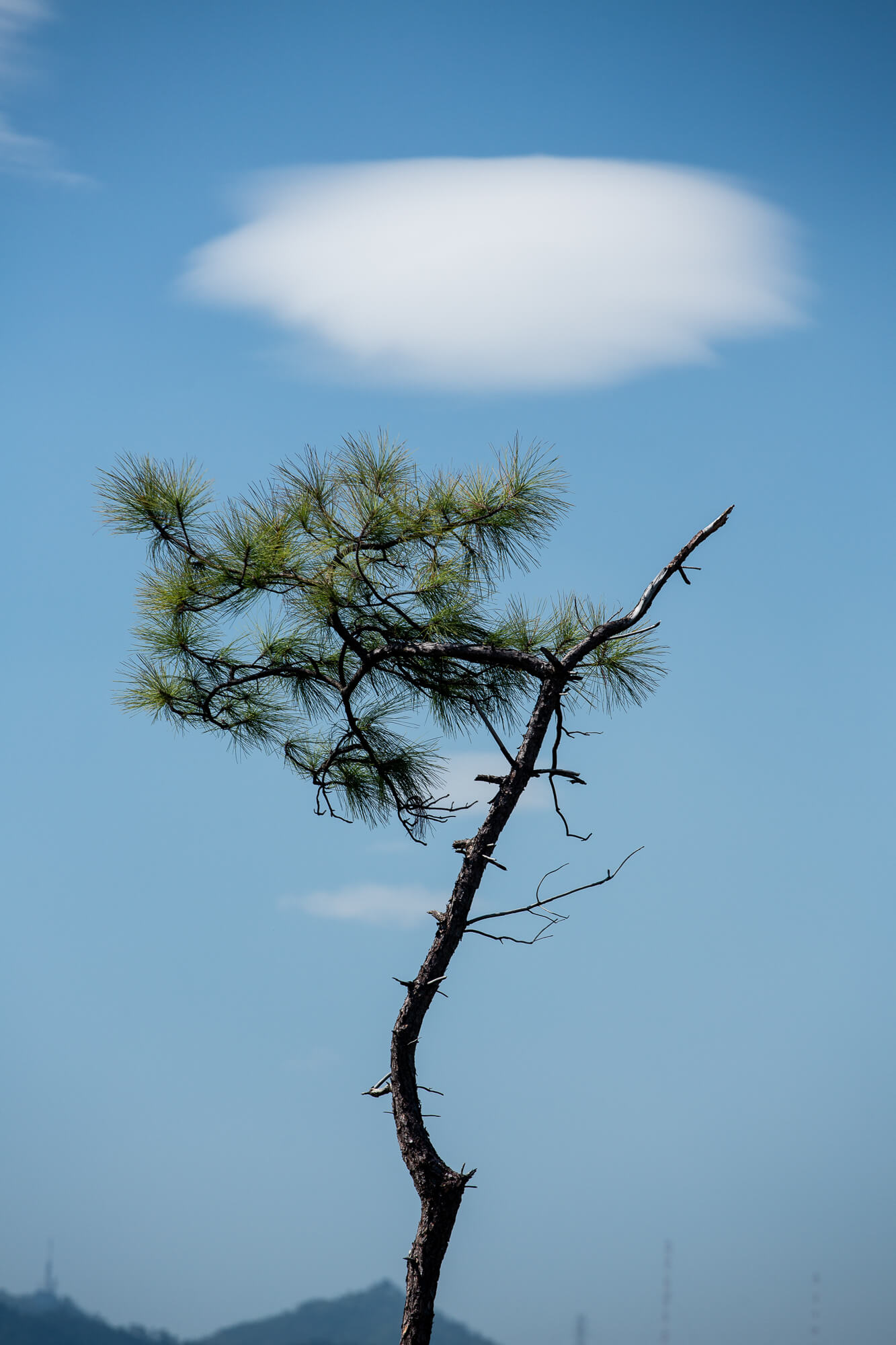 蝌蚪坪上空出現相對較罕見的莢狀高積雲