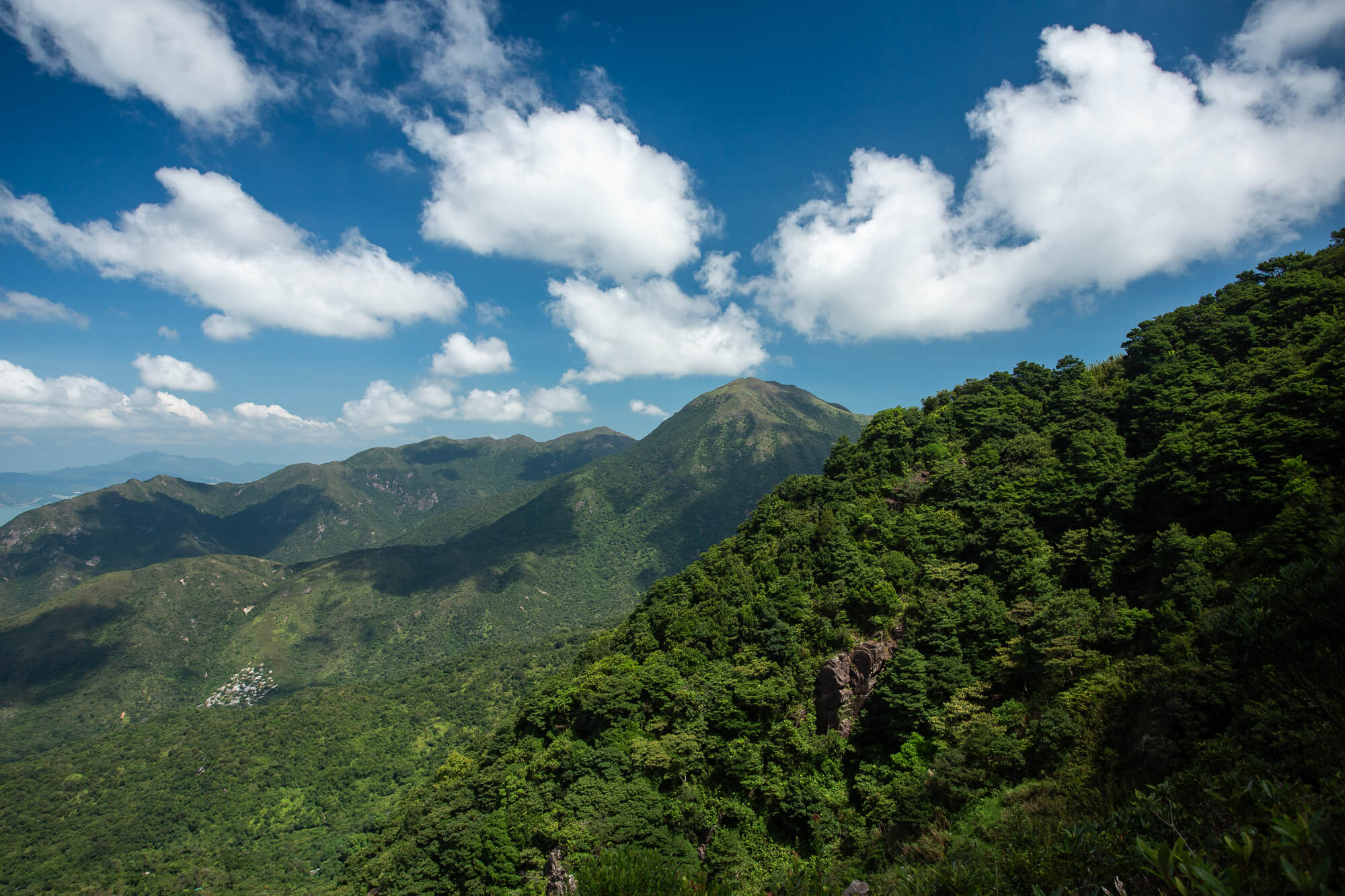 攀鳳鳥石脊途中一景