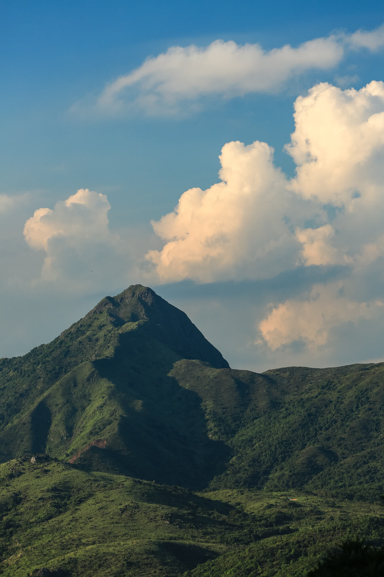 染黃的積雲