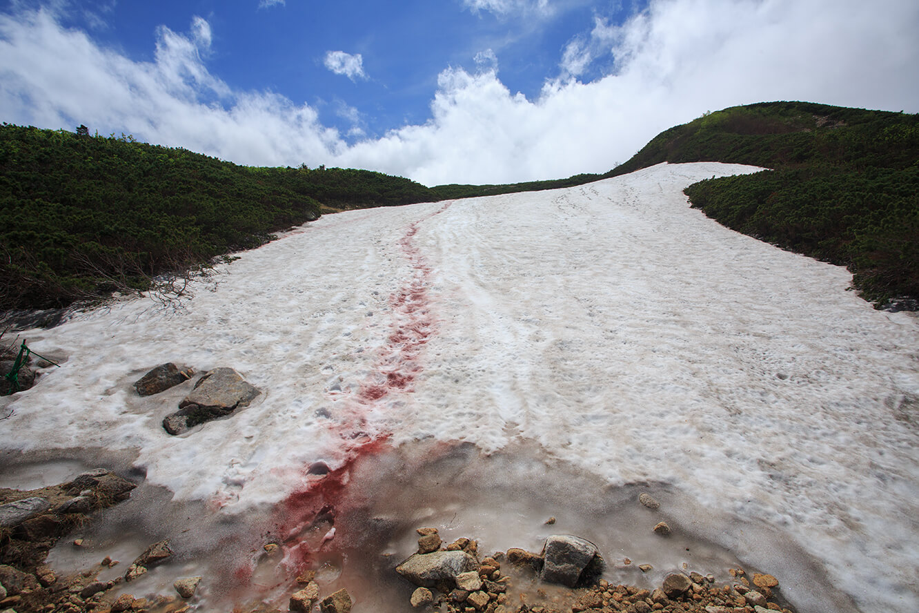 雪地上的赭紅色顏料協助登山者辨別路向