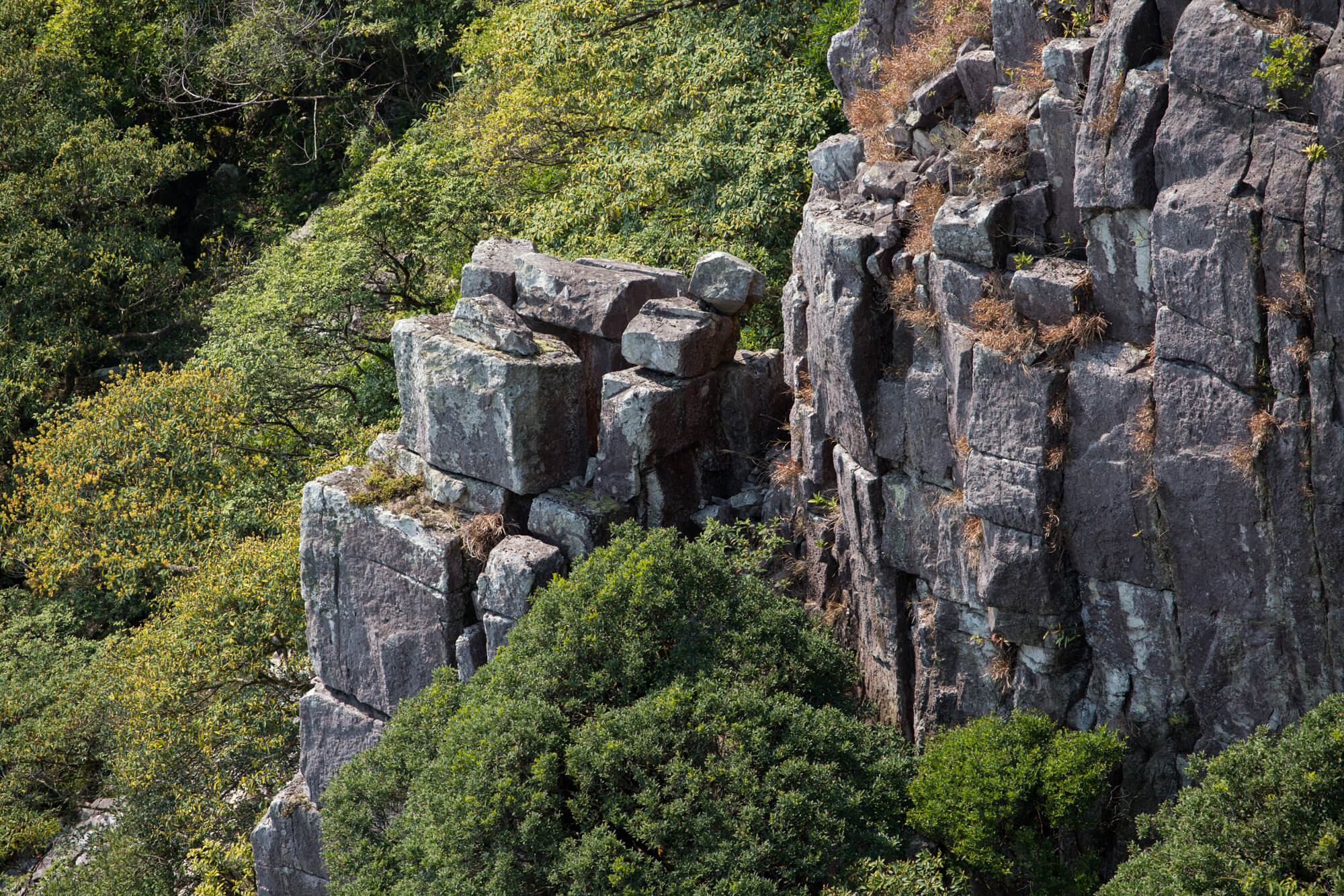 「積木崖」僅指圖中左方的石塔