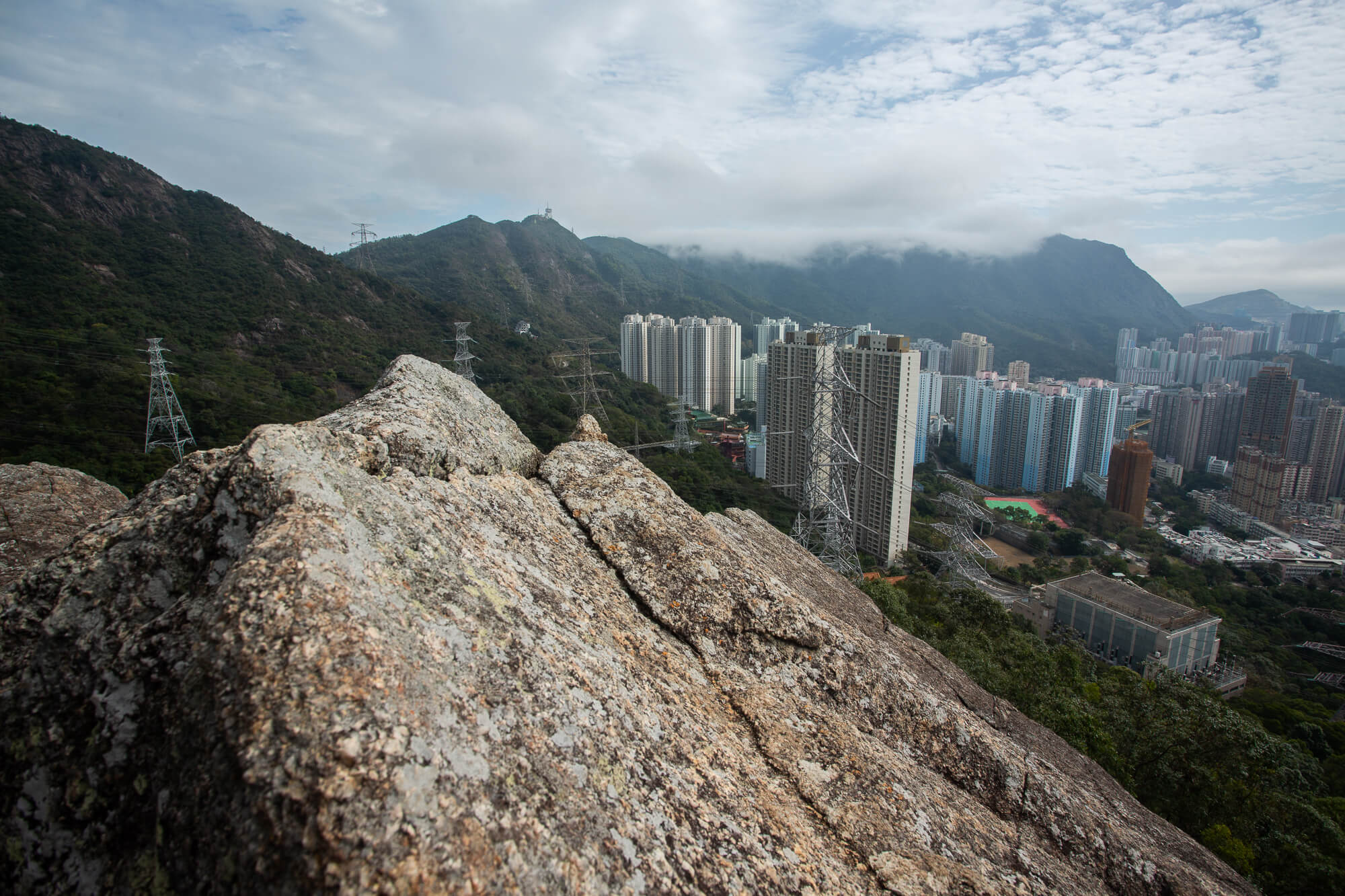 離開疏林，登高賞景