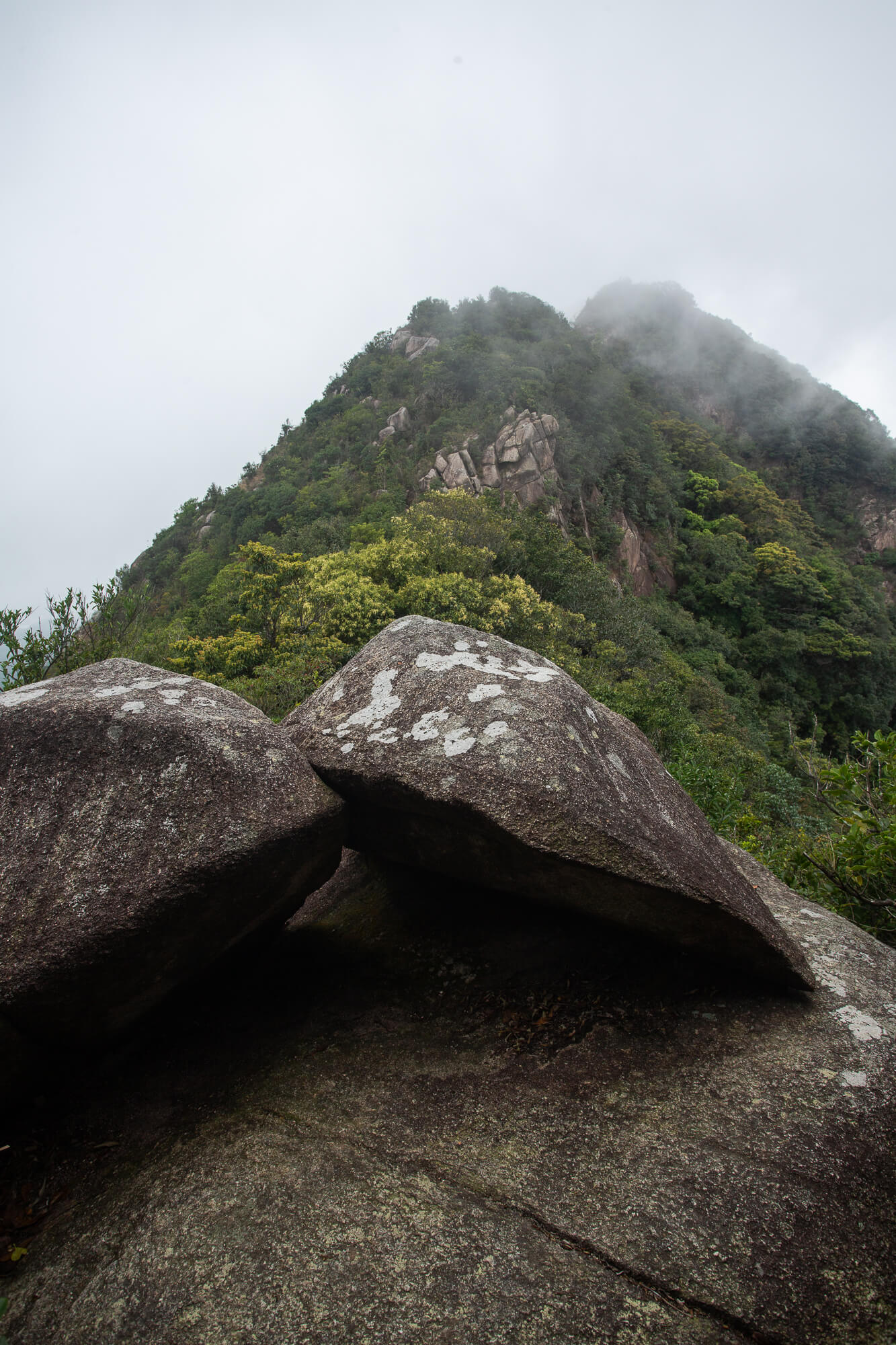 步近山頂