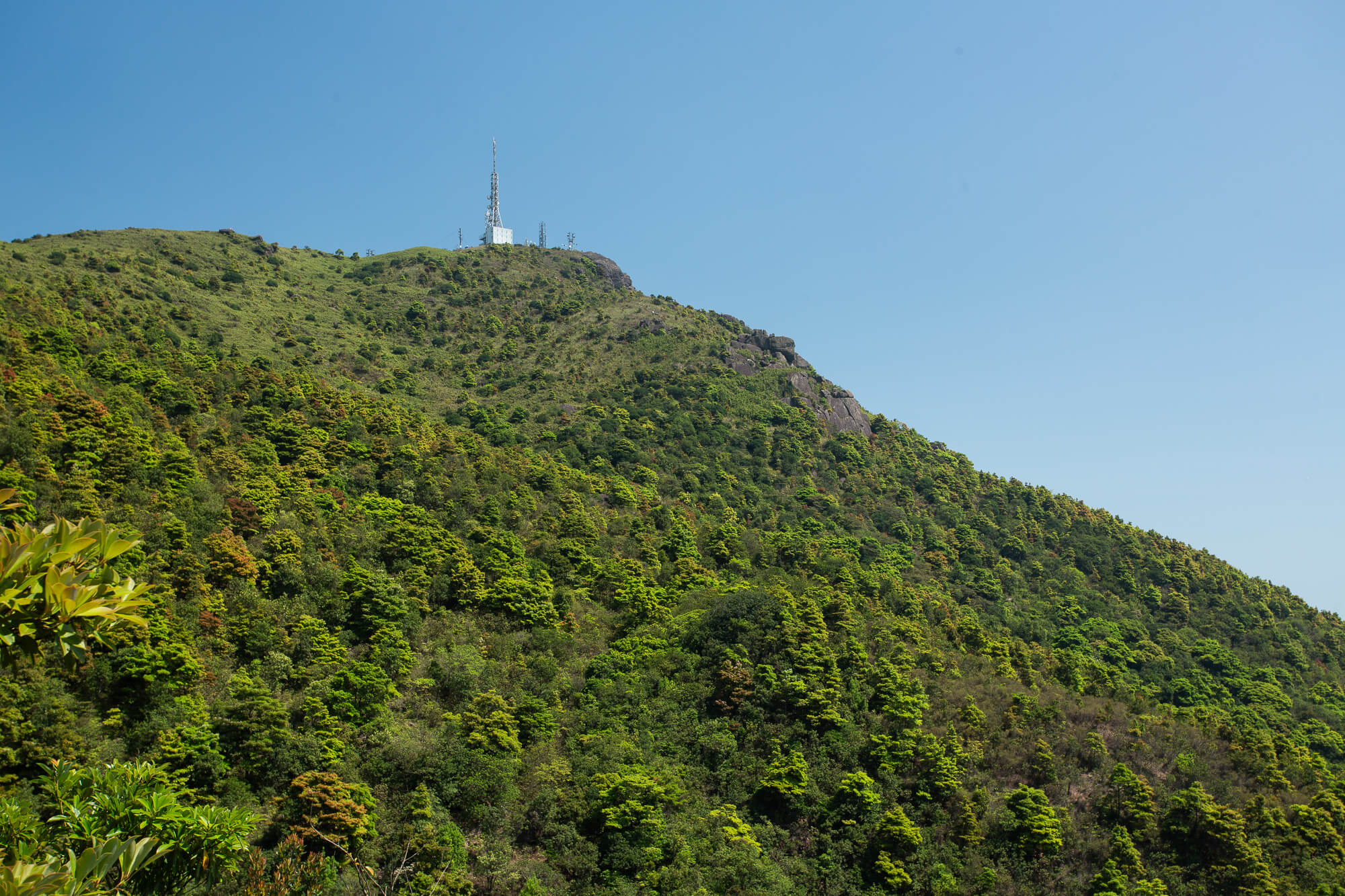 飛鵝山