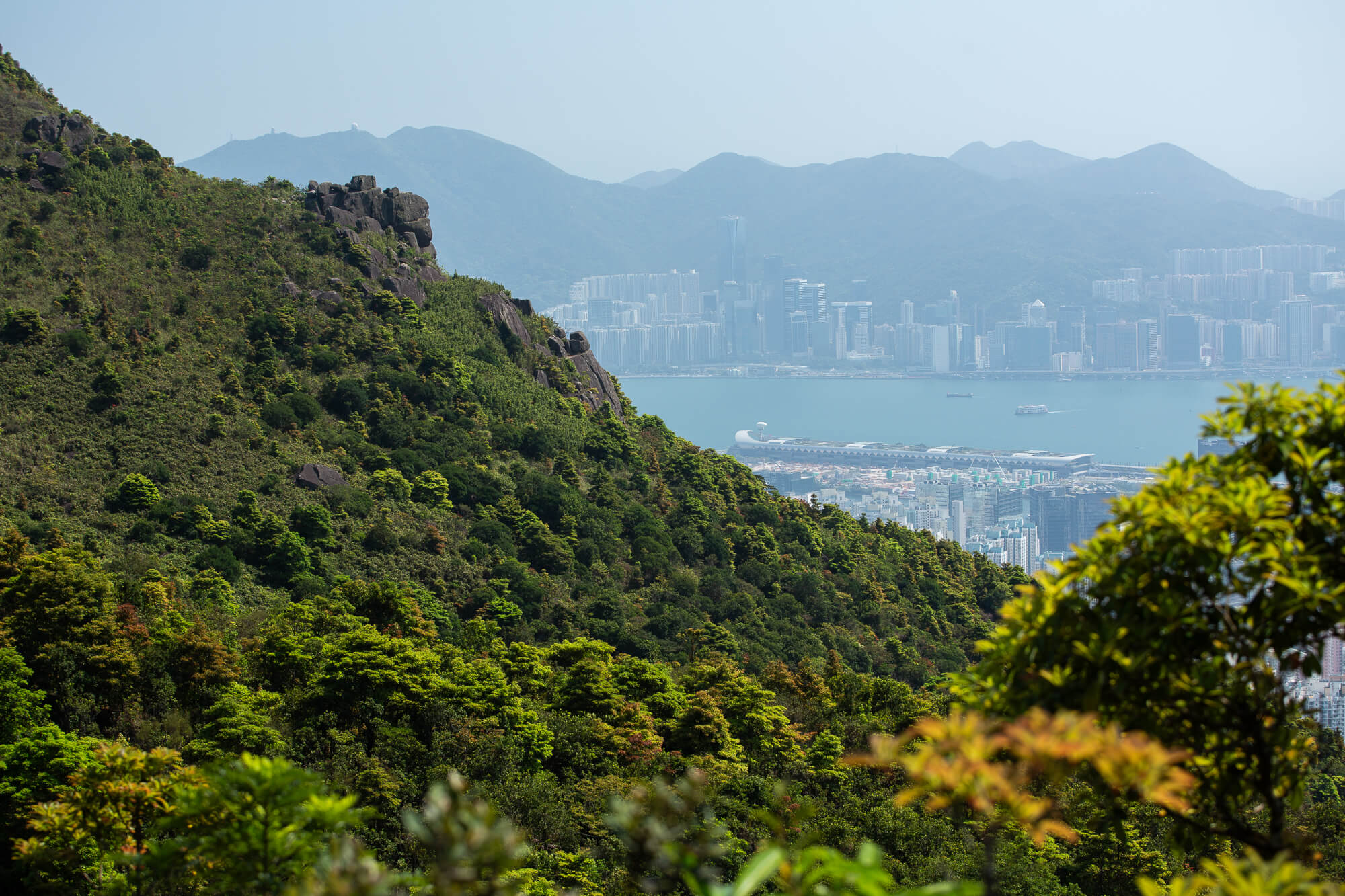 遙看港島