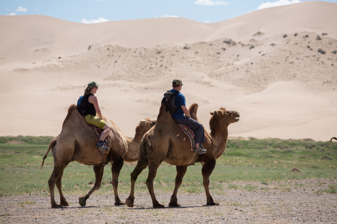 遊客騎乘駱駝往返沙丘