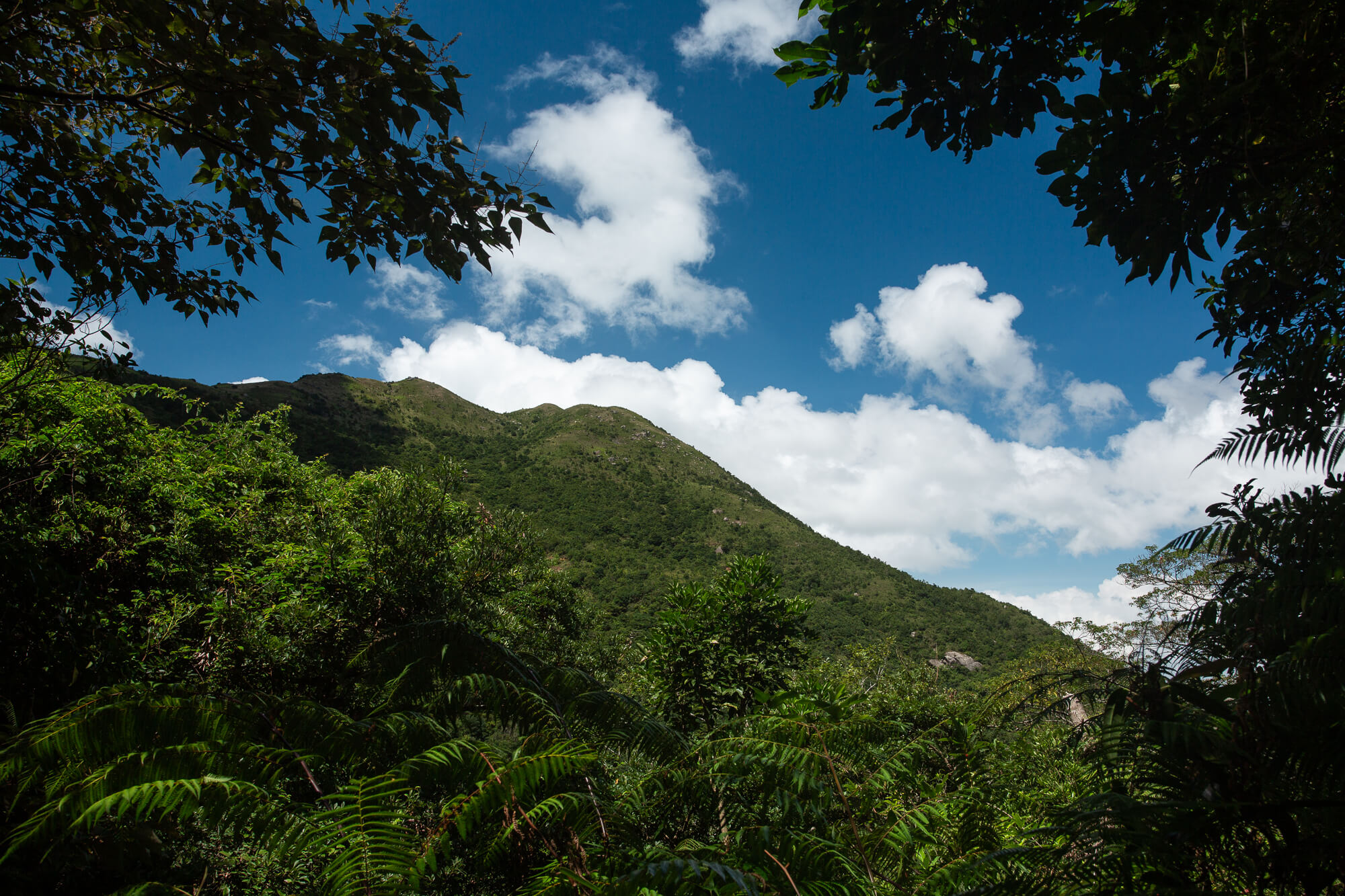 彌勒山