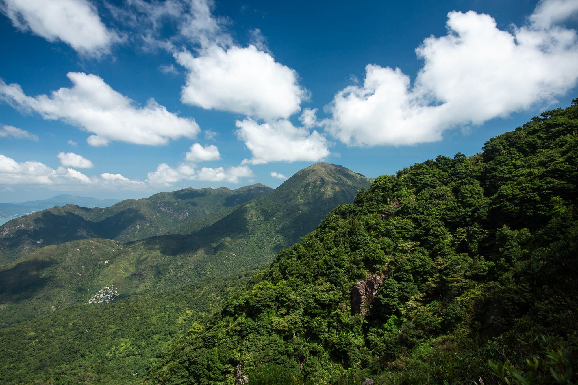大東山