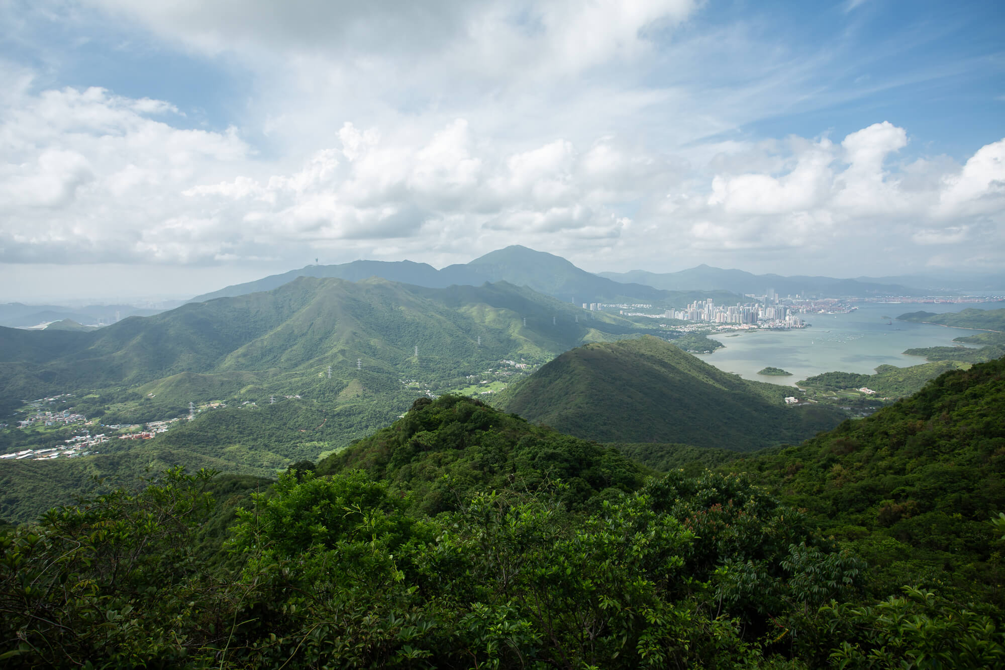 桐梧山在遠方