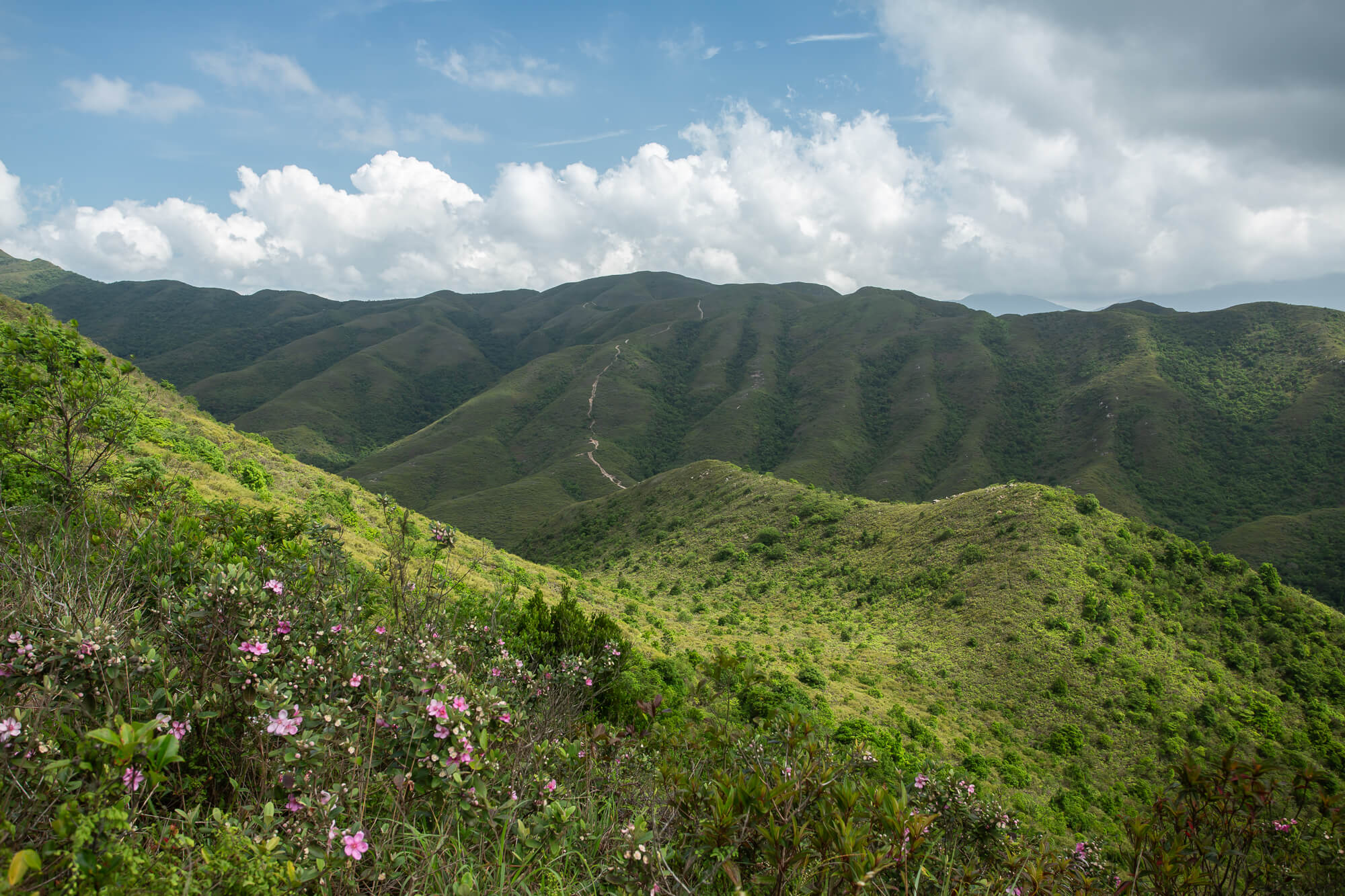 黃嶺