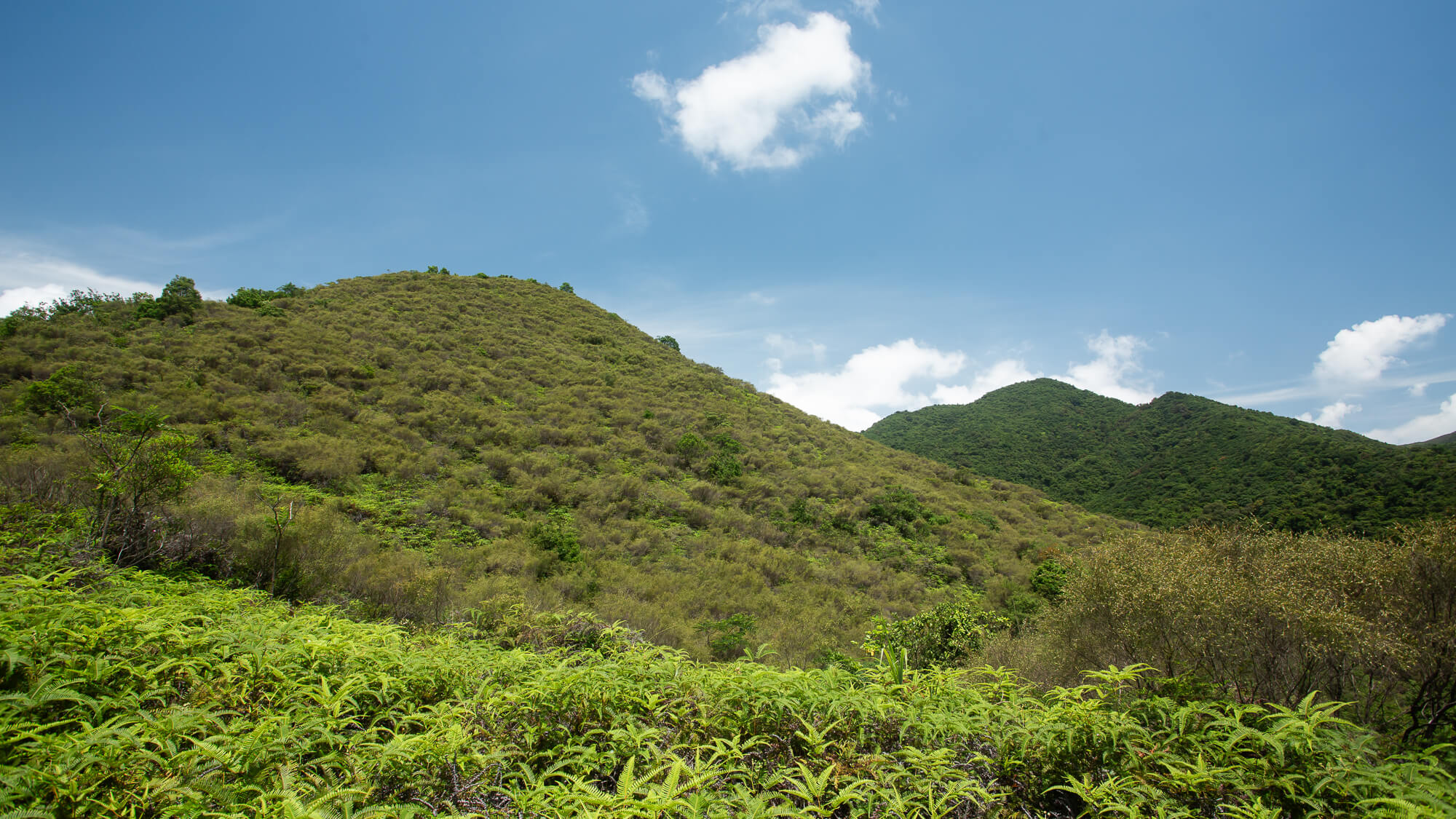 公主山行山