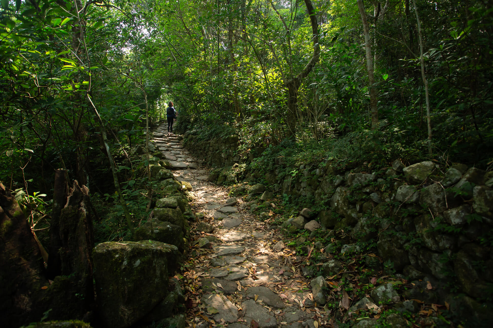 茅坪古道