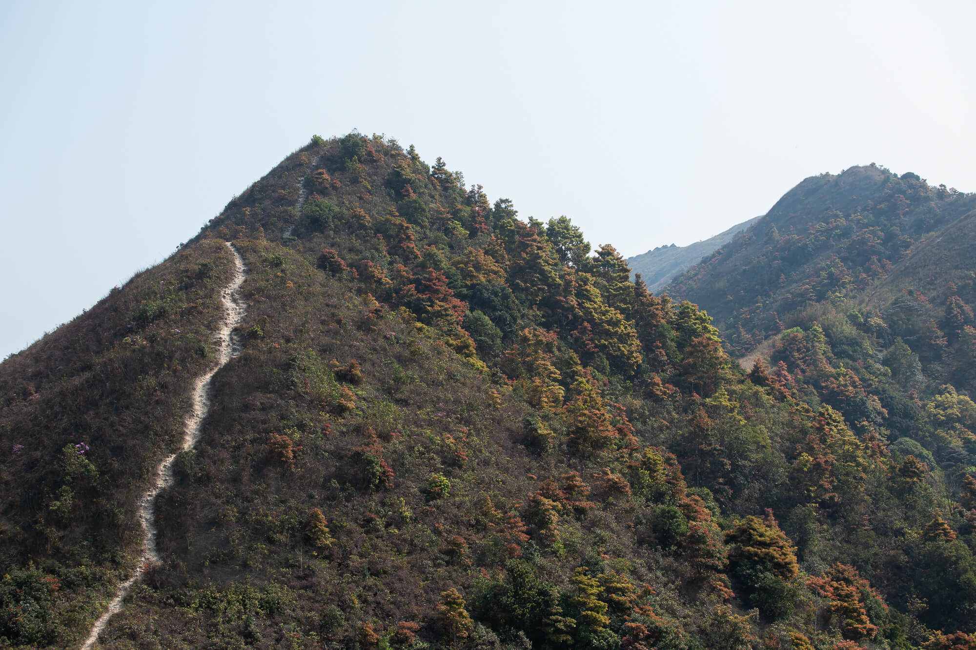 這邊的山徑通往水牛山