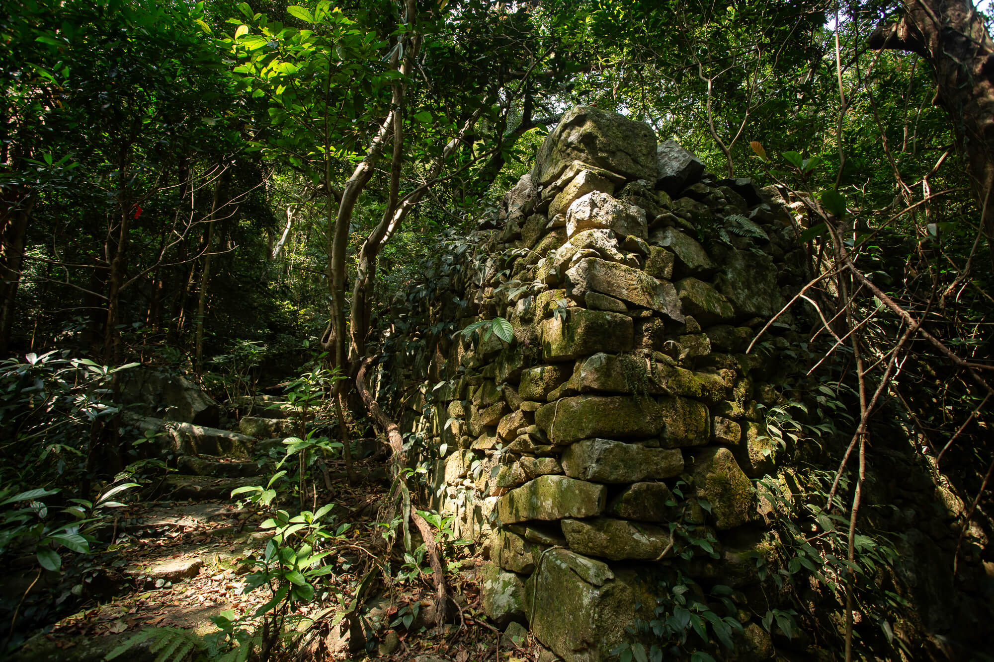 黃竹山村