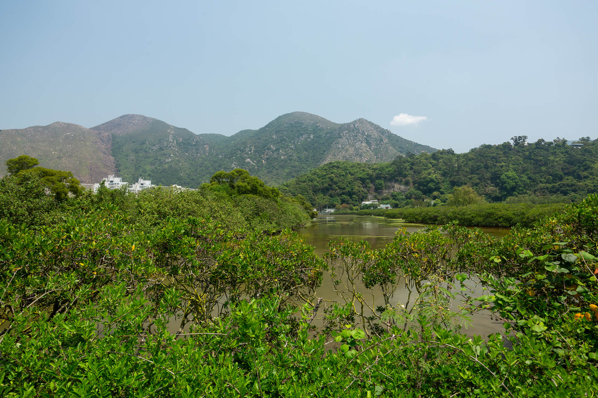 獅山與象山
