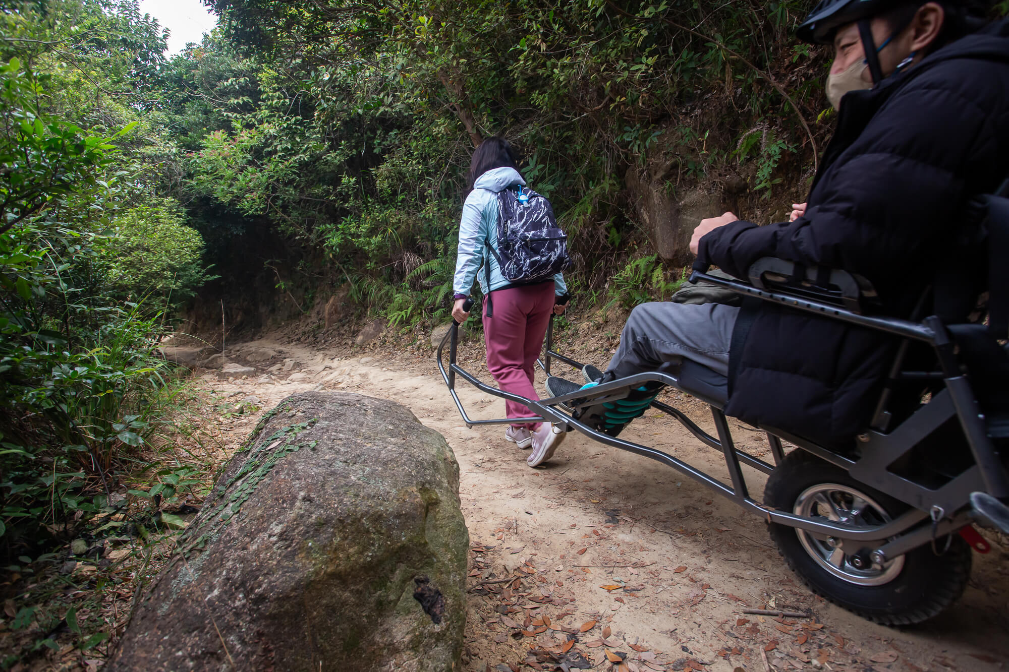 平坦的金督馳馬徑很適合行山輪椅行走