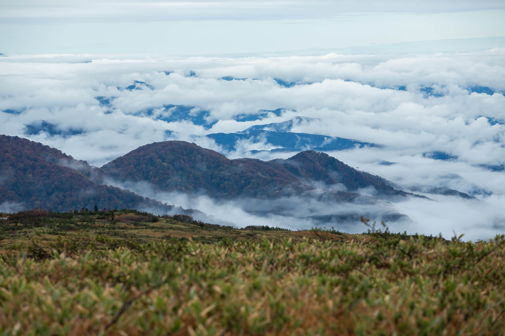 遠山